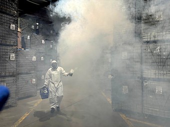 Hubení švábů ve skladu - Hradec Králové